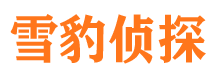 沅陵找人公司